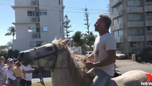 ЕПСКА СЦЕНА НА ПРОТЕСТУ У АУСТРАЛИЈИ: Демонстрант на белом коњу упутио поруку окупљенима (ВИДЕО) ЕПСКА СЦЕНА НА ПРОТЕСТУ У АУСТРАЛИЈИ: Демонстрант на белом коњу упутио поруку окупљенима (ВИДЕО)
