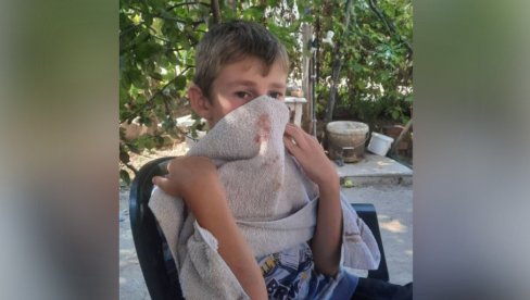 OVO JE DEČAK KOG SU PRETUKLI ALBANCI: Mučki napad u Kosovskoj Kamenici, Mihajlo se vraćao iz prodavnice kada su ga opkolili (FOTO) OVO JE DEČAK KOG SU PRETUKLI ALBANCI: Mučki napad u Kosovskoj Kamenici, Mihajlo se vraćao iz prodavnice kada su ga opkolili (FOTO)