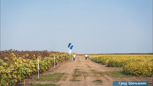 ДАН ПОЉА ЈЕСЕЊИХ КУЛТУРА НА ЗЛАТИЦИ: Добра прилика да се чује реч стручњака ДАН ПОЉА ЈЕСЕЊИХ КУЛТУРА НА ЗЛАТИЦИ: Добра прилика да се чује реч стручњака