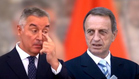 МИЛОВ КУМ ОСУМЊИЧЕН ЗА ПРАЊЕ НОВЦА: СДТ наредио истрагу власника Вектре МИЛОВ КУМ ОСУМЊИЧЕН ЗА ПРАЊЕ НОВЦА: СДТ наредио истрагу власника Вектре