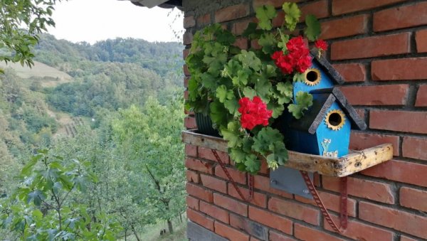 МЛАДИМА ЈОШ 90 КУЋА: Програм Министарства за бригу о селу МЛАДИМА ЈОШ 90 КУЋА: Програм Министарства за бригу о селу
