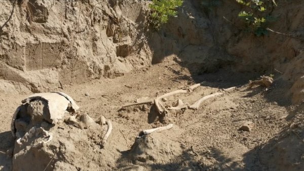 ОТКРИВЕНО 38 ГРОБОВА: Невероватни резултати археолошких истраживања код Варварина ОТКРИВЕНО 38 ГРОБОВА: Невероватни резултати археолошких истраживања код Варварина
