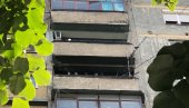 ЛЕГЛО ЗАРАЗЕ У СТАНУ НА НОВОМ БЕОГРАДУ: Пар из солитера живи са голубовима у кући ЛЕГЛО ЗАРАЗЕ У СТАНУ НА НОВОМ БЕОГРАДУ: Пар из солитера живи са голубовима у кући