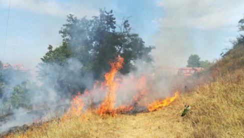 У ЛЕСКОВЦУ ОД 5 ДО 10 ПОЖАРА ДНЕВНО: Ватрогасци се свакодневно боре са ватром на отвореном (ФОТО) У ЛЕСКОВЦУ ОД 5 ДО 10 ПОЖАРА ДНЕВНО: Ватрогасци се свакодневно боре са ватром на отвореном (ФОТО)