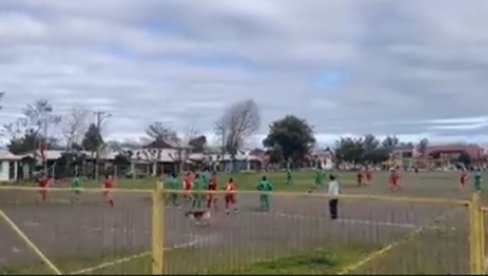 OPASAN PAS U NAPADU: Kuca postigla gol na kome bi pozavideli mnogi napadači (VIDEO) OPASAN PAS U NAPADU: Kuca postigla gol na kome bi pozavideli mnogi napadači (VIDEO)