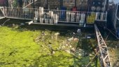 SMEĆE SE  GOMILA,  A KAZNA  100.000: Reke oko splavova ponovo su zagušene ogromnom količinom otpada