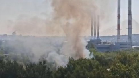 СНИМЦИ ПОЖАРА НА НОВОМ БЕОГРАДУ: Над насељем се надвио облак густог дима - ватрогасци на терену (ФОТО/ВИДЕО) СНИМЦИ ПОЖАРА НА НОВОМ БЕОГРАДУ: Над насељем се надвио облак густог дима - ватрогасци на терену (ФОТО/ВИДЕО)