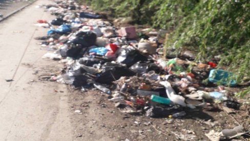 ČISTE SE I JAVNE POVRŠINE: Akcija uklanjanja divljih deponija u Novom Sadu ČISTE SE I JAVNE POVRŠINE: Akcija uklanjanja divljih deponija u Novom Sadu