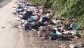 ČISTE SE I JAVNE POVRŠINE: Akcija uklanjanja divljih deponija u Novom Sadu