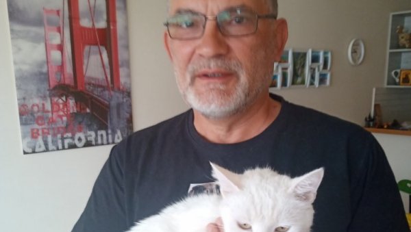 НИШЛИЈИ ПОБЕГАО МАЧАК ИЗ КОЛА НА ПУТУ КА МОРУ: Софио пронађен након месец дана потраге у кањону Мораче НИШЛИЈИ ПОБЕГАО МАЧАК ИЗ КОЛА НА ПУТУ КА МОРУ: Софио пронађен након месец дана потраге у кањону Мораче
