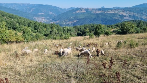 НОВА ШАНСА ЗА ПРИЈЕПОЉСКЕ ПОЉОПРИВРЕДНИКЕ: Расписан конкурс за доделу средстава НОВА ШАНСА ЗА ПРИЈЕПОЉСКЕ ПОЉОПРИВРЕДНИКЕ: Расписан конкурс за доделу средстава