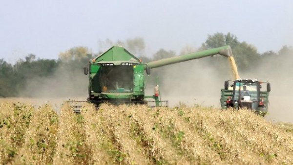 СУША ДЕСЕТКОВАЛА ЖИТАРИЦЕ: Жетва кукуруза креће за десетак дана, а соје и сунцокрета због лошег времена прекинута СУША ДЕСЕТКОВАЛА ЖИТАРИЦЕ: Жетва кукуруза креће за десетак дана, а соје и сунцокрета због лошег времена прекинута