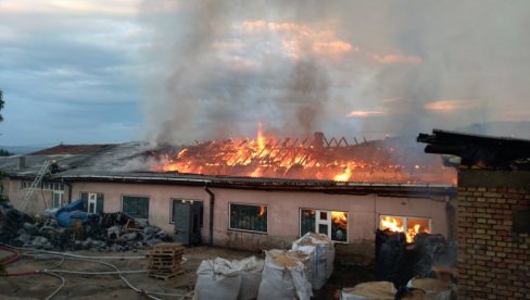 ŽRTAVA NEMA, ŠTETA OGROMNA: Epilog ogromnog požara u nekadašnjoj pirotskoj fabrici “Stolar” (FOTO+VIDEO) ŽRTAVA NEMA, ŠTETA OGROMNA: Epilog ogromnog požara u nekadašnjoj pirotskoj fabrici “Stolar” (FOTO+VIDEO)