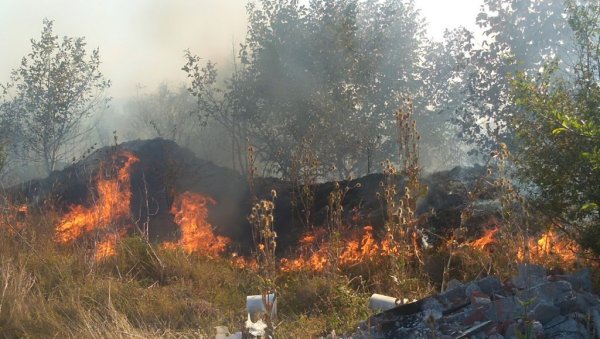 ПОЖАР У ЛЕСКОВЦУ: Горело ниско растиње и трава код насеља Кумалак и Анчики (ФОТО) ПОЖАР У ЛЕСКОВЦУ: Горело ниско растиње и трава код насеља Кумалак и Анчики (ФОТО)