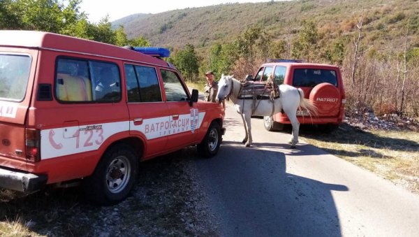 ПОЖАР КОД ТРЕБИЊА: Ватрогасци на терену, ватрена стихија избила након удара грома ПОЖАР КОД ТРЕБИЊА: Ватрогасци на терену, ватрена стихија избила након удара грома