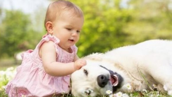 Како уклопити живот са бебом и кућним љубимцем? Како уклопити живот са бебом и кућним љубимцем?