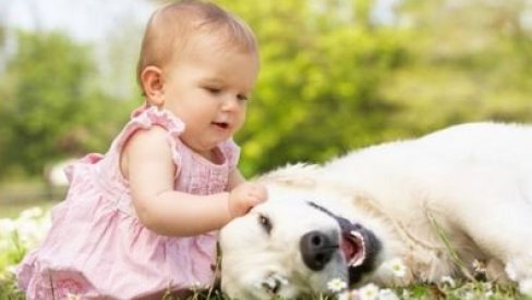 Kako uklopiti život sa bebom i kućnim ljubimcem? Kako uklopiti život sa bebom i kućnim ljubimcem?