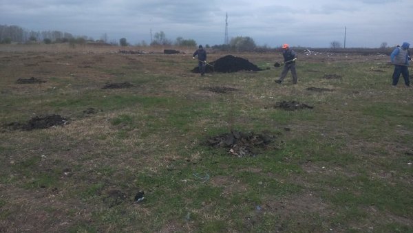 ЗА ПОШУМЉАВАЊЕ 2,5 МИЛИОНА: Уз помоћ министарства садиће се дрвеће око пречистача у Пландишту ЗА ПОШУМЉАВАЊЕ 2,5 МИЛИОНА: Уз помоћ министарства садиће се дрвеће око пречистача у Пландишту
