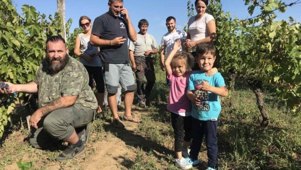ПОЧЕЛА БЕРБА ГРОЖЂА: Моба у дому Јовичића из Црквенца ПОЧЕЛА БЕРБА ГРОЖЂА: Моба у дому Јовичића из Црквенца