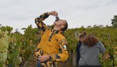 ВИНОГРАДАРСКА ВЕЛЕСИЛА: Топлија клима повећаће производњу вина у Великој Британији ВИНОГРАДАРСКА ВЕЛЕСИЛА: Топлија клима повећаће производњу вина у Великој Британији