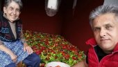 СПРЕМНА ЗИМНИЦА: Посланик Милија Милетић асистирао мајци, шпајз напуњен СПРЕМНА ЗИМНИЦА: Посланик Милија Милетић асистирао мајци, шпајз напуњен