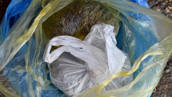 ЈАГОДИНАЦ УХАПШЕН ЗБОГ ДРОГЕ: Полиција претресом стана пронашла 280 грама марихуане ЈАГОДИНАЦ УХАПШЕН ЗБОГ ДРОГЕ: Полиција претресом стана пронашла 280 грама марихуане
