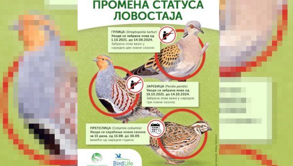 ИЗМЕНОМ ПРАВИЛНИКА ЧУВАЈУ РЕТКЕ ПТИЦЕ: Уведене привремене забране лова три угрожене врсте селица ИЗМЕНОМ ПРАВИЛНИКА ЧУВАЈУ РЕТКЕ ПТИЦЕ: Уведене привремене забране лова три угрожене врсте селица