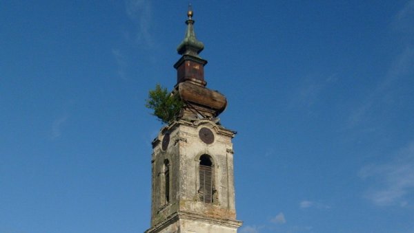 ЉУДИ СЕ КРСТЕ БРЕЗИ НА ТОРЊУ! Најављена обнова цркве у Сивцу, на чијем је врху израсло дрво ЉУДИ СЕ КРСТЕ БРЕЗИ НА ТОРЊУ! Најављена обнова цркве у Сивцу, на чијем је врху израсло дрво
