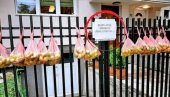 GEST ZEMUNACA VRAĆA NADU: Još uvek ima Beograda u Beograđanima... (FOTO) GEST ZEMUNACA VRAĆA NADU: Još uvek ima Beograda u Beograđanima... (FOTO)