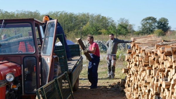 БРИГА СВИЛАЈНЦА ЗА РАСЕЉЕНЕ СА КиМ: Тридесет социјално угрожених породица добило огрев БРИГА СВИЛАЈНЦА ЗА РАСЕЉЕНЕ СА КиМ: Тридесет социјално угрожених породица добило огрев