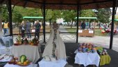 ДА СРПСКО СЕЛО ОПЕТ ОЖИВИ: У Неготину отворен етно сајам “Изворно из Крајине” (ФОТО) ДА СРПСКО СЕЛО ОПЕТ ОЖИВИ: У Неготину отворен етно сајам “Изворно из Крајине” (ФОТО)