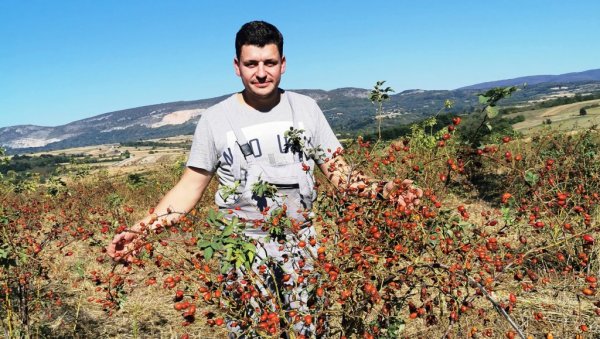 И ШИПАК ЧУВА ДЕДОВИНУ: Млади саобраћајни инжењер из Параћина Ненад Стојковић не одустаје од породичног имања И ШИПАК ЧУВА ДЕДОВИНУ: Млади саобраћајни инжењер из Параћина Ненад Стојковић не одустаје од породичног имања