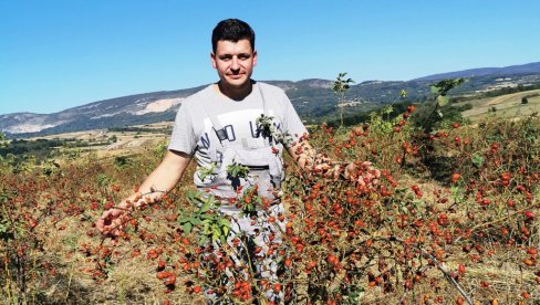 И ШИПАК ЧУВА ДЕДОВИНУ: Млади саобраћајни инжењер из Параћина Ненад Стојковић не одустаје од породичног имања И ШИПАК ЧУВА ДЕДОВИНУ: Млади саобраћајни инжењер из Параћина Ненад Стојковић не одустаје од породичног имања
