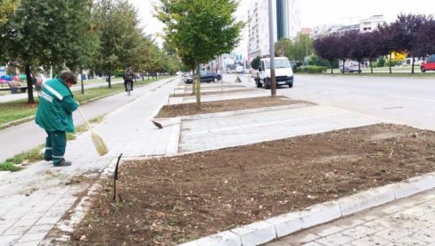 NOVE SADNICE NA DVA BULEVARA: JKP „Gradsko zelenilo“ nastavlja sa ozelenjavanjem novosadskih ulica NOVE SADNICE NA DVA BULEVARA: JKP „Gradsko zelenilo“ nastavlja sa ozelenjavanjem novosadskih ulica