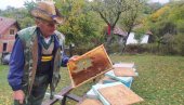 MEŠTANI U STRAHU STREPE ZA BEZBEDNOST: Medvedi sve češći gosti u pribojskom selu Bučje MEŠTANI U STRAHU STREPE ZA BEZBEDNOST: Medvedi sve češći gosti u pribojskom selu Bučje