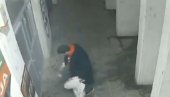 СНИМАК ДИВЉАШТВА У БЕОГРАДУ: Главом поломио улазна врата из чиста мира (ВИДЕО) СНИМАК ДИВЉАШТВА У БЕОГРАДУ: Главом поломио улазна врата из чиста мира (ВИДЕО)