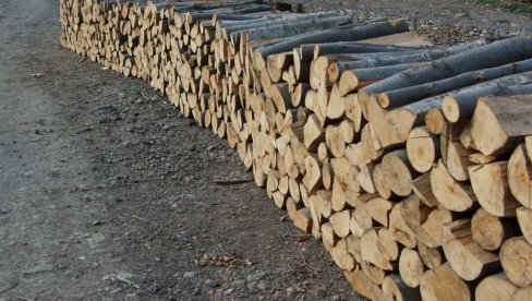 ZAPLENILI 107 KUBIKA OGREVA: Akcija Šumsko-lovne inspekcije Pirotskog okruga ZAPLENILI 107 KUBIKA OGREVA: Akcija Šumsko-lovne inspekcije Pirotskog okruga