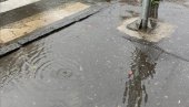 ЋАТЕ НЕЋЕ ДА МРДНУ: Грађани су се обраћали ГО Звездара, Граду и Министарству ЋАТЕ НЕЋЕ ДА МРДНУ: Грађани су се обраћали ГО Звездара, Граду и Министарству