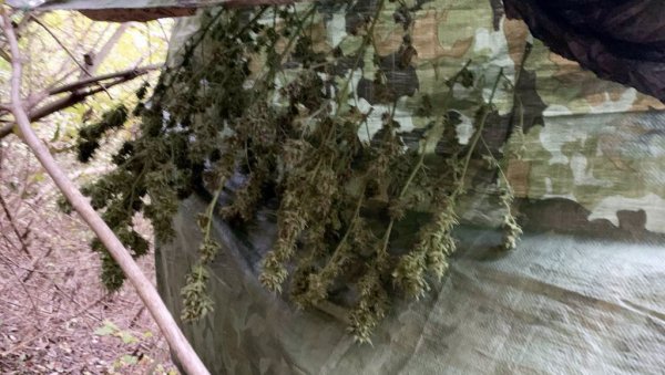 ОГЛАСИО МУП О ХАПШЕЊУ СТРАЖАРА У ЦЗ: Кривична пријава и Ф.С. (20) због давања мита ОГЛАСИО МУП О ХАПШЕЊУ СТРАЖАРА У ЦЗ: Кривична пријава и Ф.С. (20) због давања мита