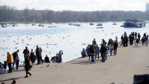 TRAŽE REŠENJE ZA ZEMUNSKI KEJ: Raspisan konkurs za ideju obnove obale od kule Gardoš do Pupinovog mosta TRAŽE REŠENJE ZA ZEMUNSKI KEJ: Raspisan konkurs za ideju obnove obale od kule Gardoš do Pupinovog mosta