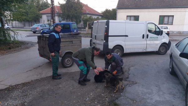 АКЦИЈА ХВАТАЊА ПАСА ЛУТАЛИЦА: Комунална инспекција у сарадњи са зоохигијеном из Београда АКЦИЈА ХВАТАЊА ПАСА ЛУТАЛИЦА: Комунална инспекција у сарадњи са зоохигијеном из Београда