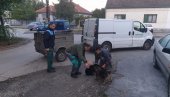 АКЦИЈА ХВАТАЊА ПАСА ЛУТАЛИЦА: Комунална инспекција у сарадњи са зоохигијеном из Београда АКЦИЈА ХВАТАЊА ПАСА ЛУТАЛИЦА: Комунална инспекција у сарадњи са зоохигијеном из Београда