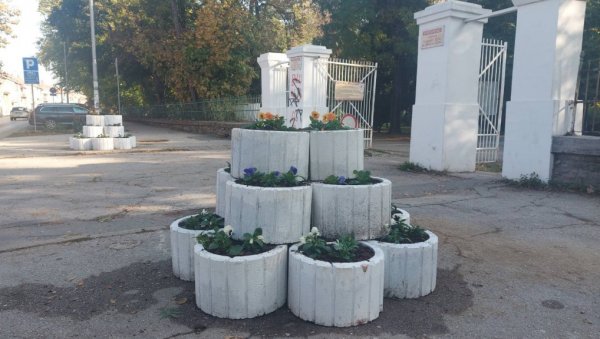 ЖАРДИЊЕРЕ УМЕСТО ЗНАКА ЗАБРАЊЕНОГ ПАРКИРАЊА: Улаз у Градски парк у Вршцу украшен цветним каскадама ЖАРДИЊЕРЕ УМЕСТО ЗНАКА ЗАБРАЊЕНОГ ПАРКИРАЊА: Улаз у Градски парк у Вршцу украшен цветним каскадама