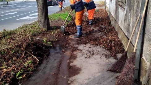 АКЦИЈА ЧИШЋЕЊА У ЗЕМУНУ: Комуналци уредили улице на Галеници АКЦИЈА ЧИШЋЕЊА У ЗЕМУНУ: Комуналци уредили улице на Галеници