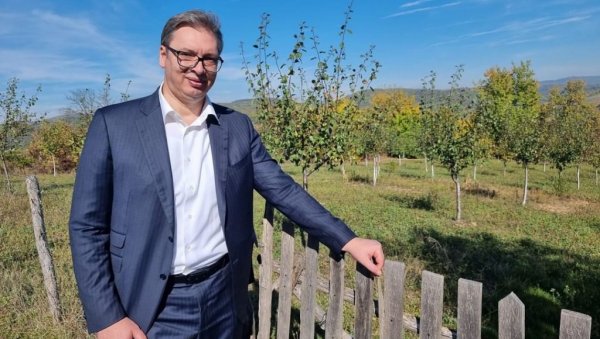 ЛЕПОТА СРБИЈЕ ОСТАЋЕ ВЕЧНА! Вучић поделио прелепе фотографије из Шумадије ЛЕПОТА СРБИЈЕ ОСТАЋЕ ВЕЧНА! Вучић поделио прелепе фотографије из Шумадије