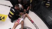 HRVAT PRETIO, PA MU SPAŠAVALI ŽIVOT: Poljak razneo prepotentog Pejića (VIDEO) HRVAT PRETIO, PA MU SPAŠAVALI ŽIVOT: Poljak razneo prepotentog Pejića (VIDEO)