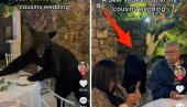 MEDVED NA SVADBI: Viralni snimak sa TikToka - došao na proslavu i popeo se na sto (VIDEO) MEDVED NA SVADBI: Viralni snimak sa TikToka - došao na proslavu i popeo se na sto (VIDEO)