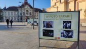 ПОД ОТВОРЕНИМ НЕБОМ У ЦЕНТРУ ЗРЕЊАНИНА: Изложба Фото-сафари Јаша Томић 2021 ПОД ОТВОРЕНИМ НЕБОМ У ЦЕНТРУ ЗРЕЊАНИНА: Изложба Фото-сафари Јаша Томић 2021