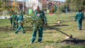ПУТНИКОВО У НОВОМ РУХУ: Реконструкција зрењанинског парка у пуном јеку ПУТНИКОВО У НОВОМ РУХУ: Реконструкција зрењанинског парка у пуном јеку