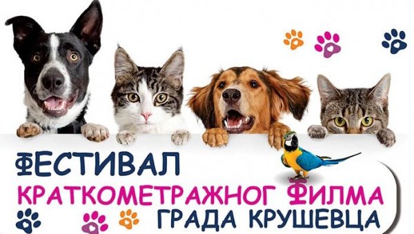 ОД ОВОГА НЕ МОЖЕ СЛАЂЕ: Деца у Крушевцу снимају филмове о кућним љубимцима! ОД ОВОГА НЕ МОЖЕ СЛАЂЕ: Деца у Крушевцу снимају филмове о кућним љубимцима!